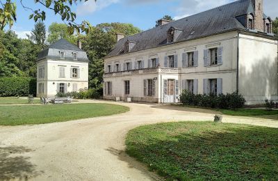 Castle for sale Burgundy-Franche-Comté, Back view
