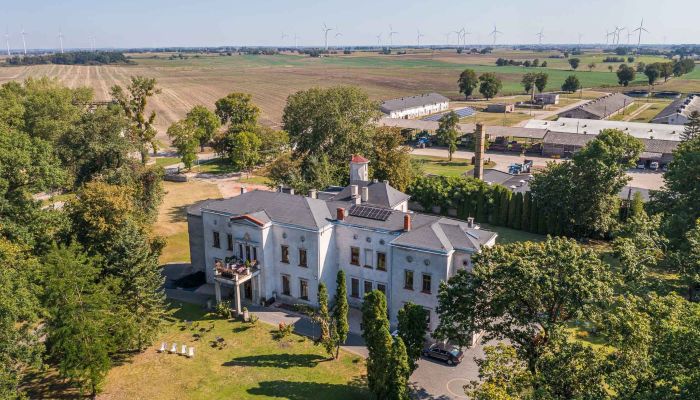 Castle for sale Mgowo, Kuyavia-Pomerania,  Poland