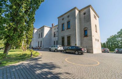 Castle for sale Mgowo, Pałac w Mgowie, Kuyavia-Pomerania, Image 13/17