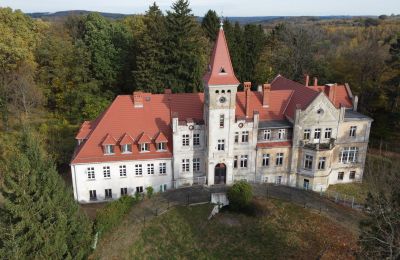 Castle Grabiszyce Średnie, Lower Silesia