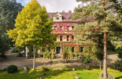Castle for sale Wojnowice, Pałacowa, Silesia, Image 15/15