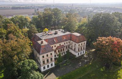 Castle for sale Wojnowice, Pałacowa, Silesia, Drone view
