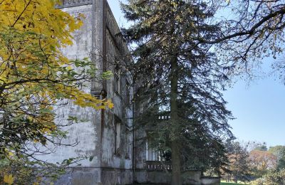 Castle for sale Górki Dąbskie, Pałac w Górkach Dąbskich, Kuyavia-Pomerania, Image 13/22
