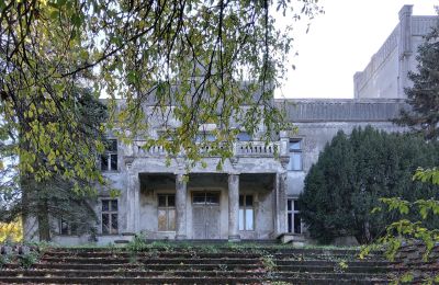 Castle for sale Górki Dąbskie, Pałac w Górkach Dąbskich, Kuyavia-Pomerania, Image 17/22
