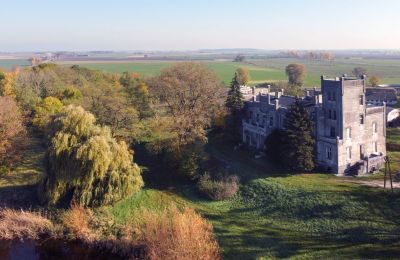Castle for sale Górki Dąbskie, Pałac w Górkach Dąbskich, Kuyavia-Pomerania, Property location