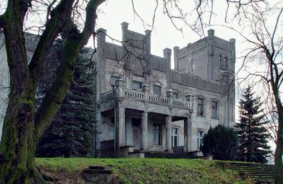 Castle for sale Górki Dąbskie, Pałac w Górkach Dąbskich, Kuyavia-Pomerania, Image 21/22