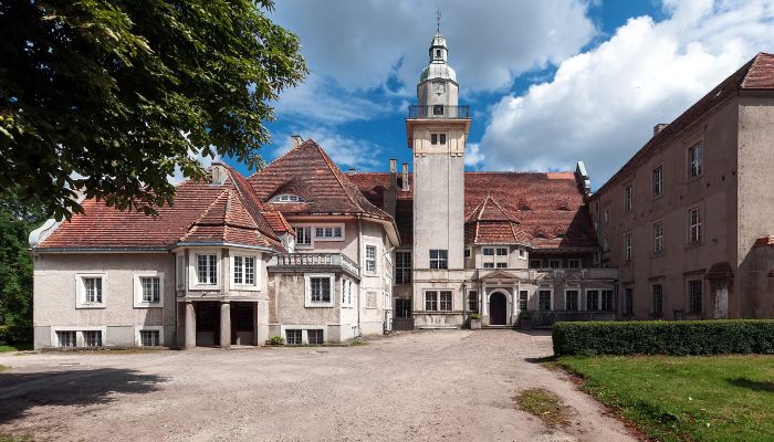Neo-baroque Paul Korff Manor for auction in Płoty, West Pomerania
