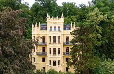 Historic properties, Exclusive luxury floor in historic villa above Gera 