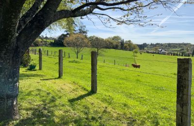 Country home for sale Melide, Cabazás, Galicia, Campo de la propiedad