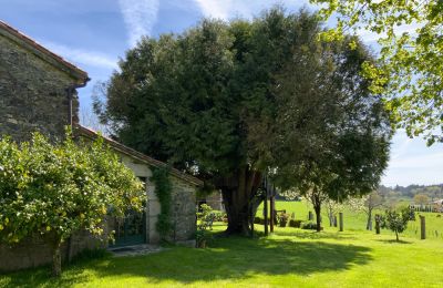 Country home for sale Melide, Cabazás, Galicia, Terraza y jardín