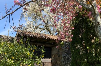 Country home for sale Melide, Cabazás, Galicia, Carriage entrance