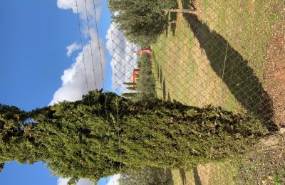 Country home for sale Almagro, Almagro, Castile-La Mancha, Property