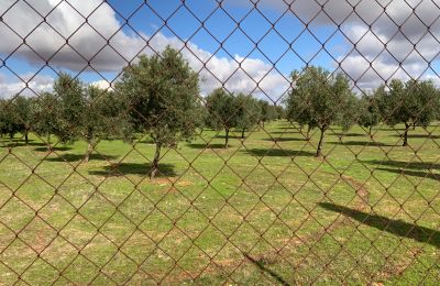 Country home for sale Almagro, Almagro, Castile-La Mancha, Property
