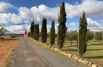 Country home for sale Almagro, Almagro, Castile-La Mancha, Access