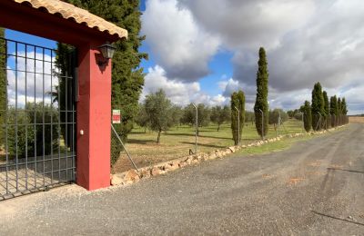 Country home for sale Almagro, Almagro, Castile-La Mancha, Access