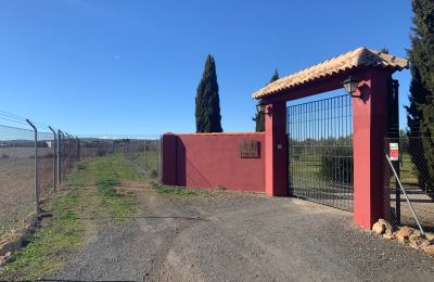Country home for sale Almagro, Almagro, Castile-La Mancha, Entrada