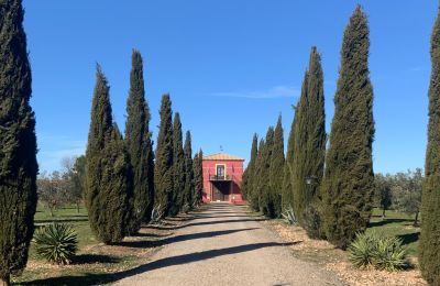 Country home for sale Almagro, Almagro, Castile-La Mancha, Entrada arbolada con cipreses
