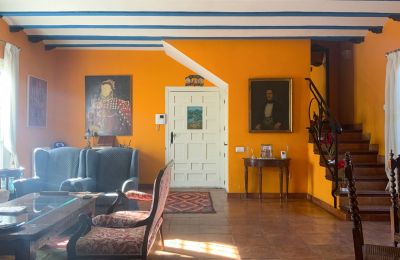 Country home for sale Almagro, Almagro, Castile-La Mancha, Large Hall