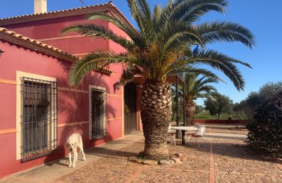 Country home for sale Almagro, Almagro, Castile-La Mancha, Fachada