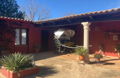 Country home for sale Almagro, Almagro, Castile-La Mancha, Patio y carruaje