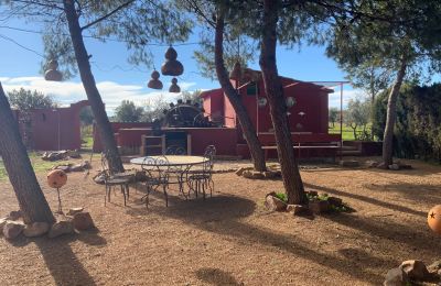 Country home for sale Almagro, Almagro, Castile-La Mancha, Property