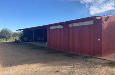 Country home for sale Almagro, Almagro, Castile-La Mancha, Garaje