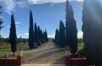 Country home for sale Almagro, Almagro, Castile-La Mancha, Access