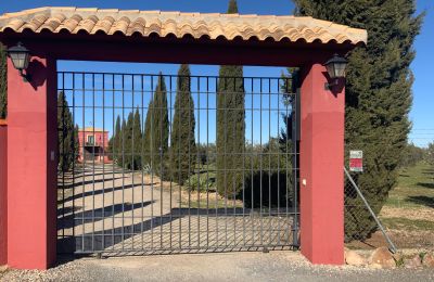Country home for sale Almagro, Almagro, Castile-La Mancha, Entrance