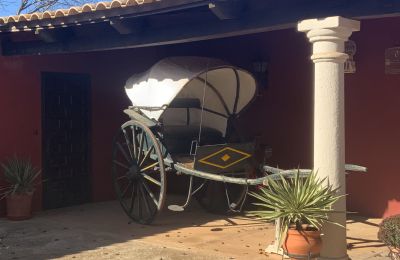 Country home for sale Almagro, Almagro, Castile-La Mancha, Carruaje