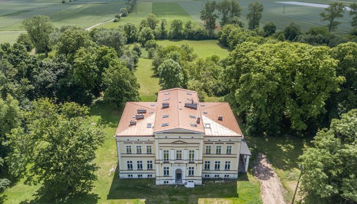 Castle Karszew, Greater Poland