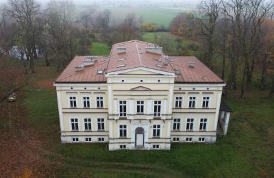Castle for sale Karszew, Greater Poland, Image 6/19