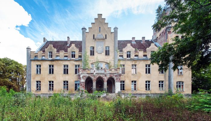 Dobrowo Manor: Open Tender