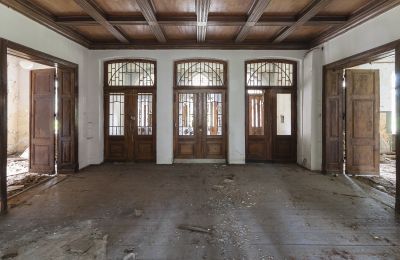 Dobrowo Manor: Open Tender, Entrance hall