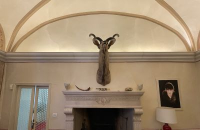 Historic Villa for sale Italy, Image 7/48