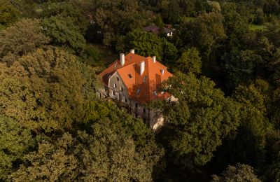 Castle Wilków, Opole Region