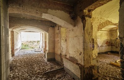 Castle for sale Wilków, Parkowa 1, Opole Region, Basement