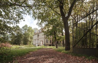 Castle for sale Wilków, Parkowa 1, Opole Region, Access
