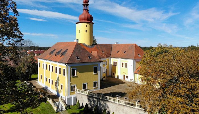 Castle for sale Czech Republic,  Czech Republic