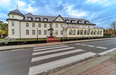 Castle for sale Krupski Młyn, Silesia, Image 18/21