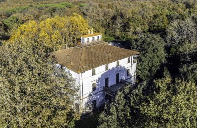 Historic Villa for sale Pontedera, Tuscany, Image 11/27