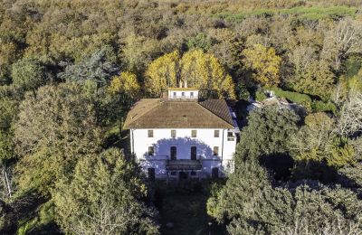 Historic Villa for sale Pontedera, Tuscany, Image 19/27