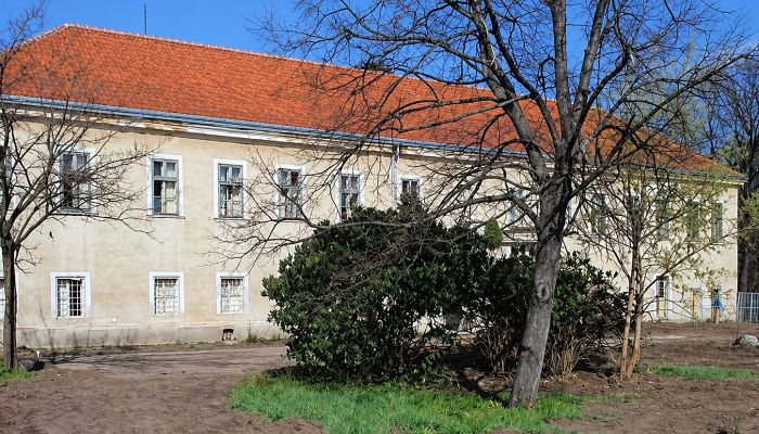Manor house for sale Rumanová, Nitra Region