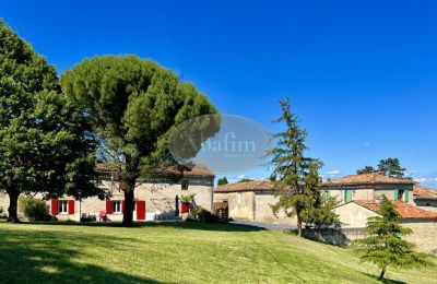 Manor House Castres, Occitania