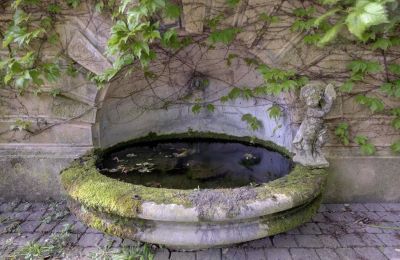 Historic Villa for sale Vernaison, Auvergne-Rhône-Alpes, Image 17/29