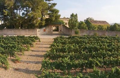 Castle for sale Santa Oliva, Catalonia, Image 6/19