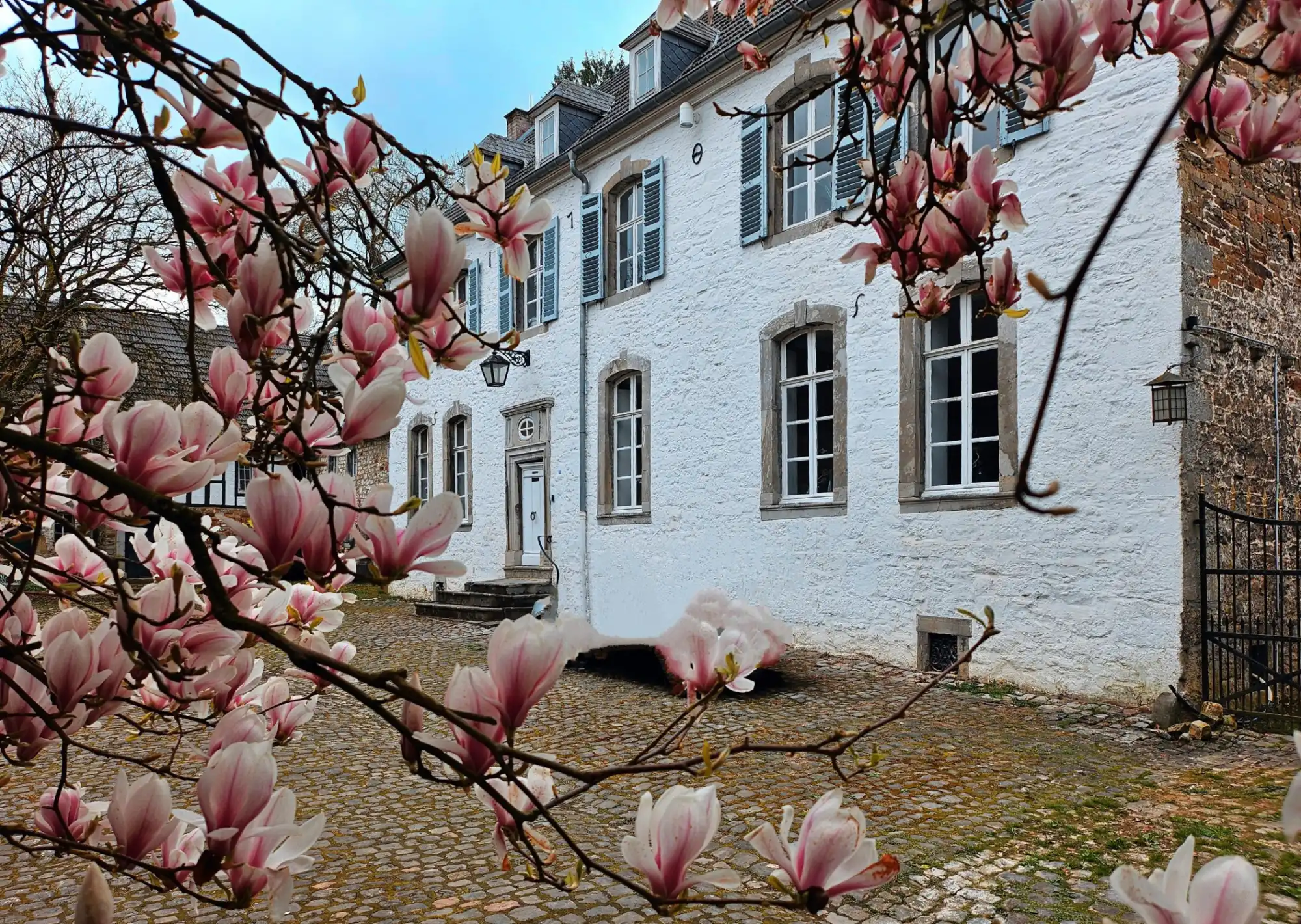 Photos Popular Airbnb Château in Belgium Near the German Border