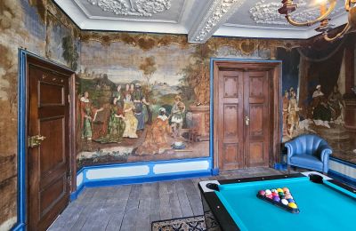 Castle for sale Astenet, Wallonia, Billardtimmee /Tapetenzimmer "Salomon " 
