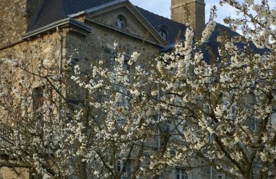 Manor House for sale Pléneuf-Val-André, Le Tertre Rogon, Brittany, Image 23/26