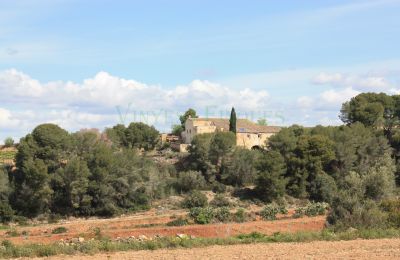 Manor House for sale Vila-rodona, Catalonia, Image 4/37