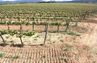 Manor House for sale Vila-rodona, Catalonia, Image 9/37